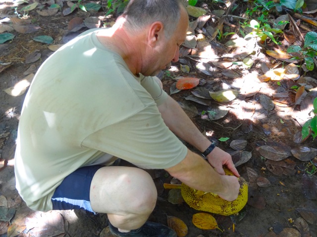 Jack Fruit Hike Ecuador