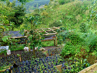 Motorcycle tours in Colombia