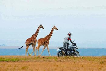 Motorcycle Touring South Africa