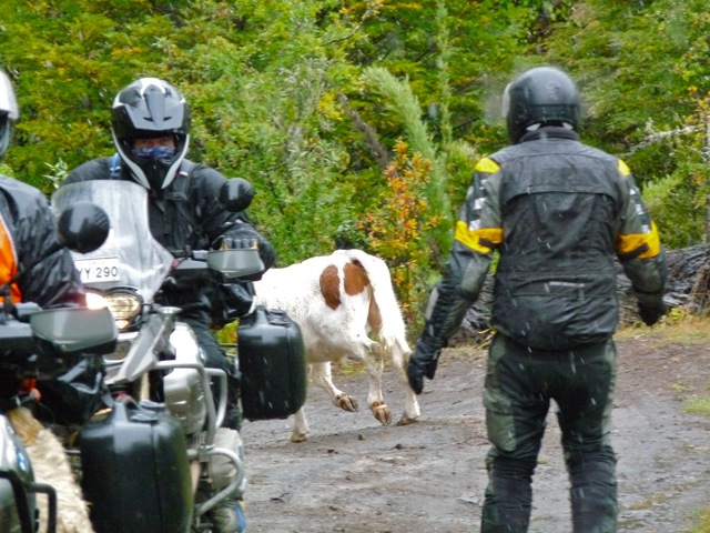 Rain in Patagonia