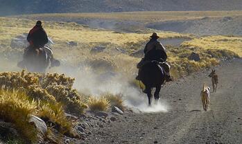 Riding in Patagonia