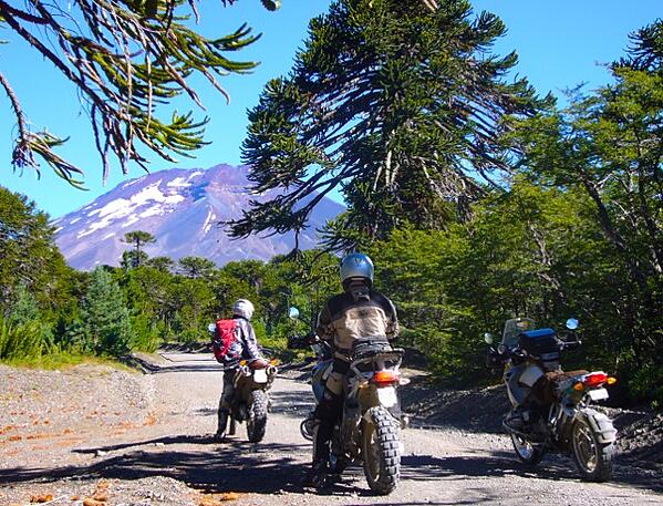 Araucania Trees and Motorcycles in Patagonia