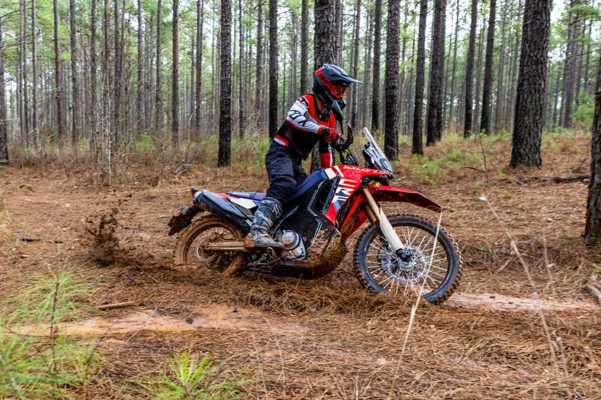 2025 honda crf300l rally