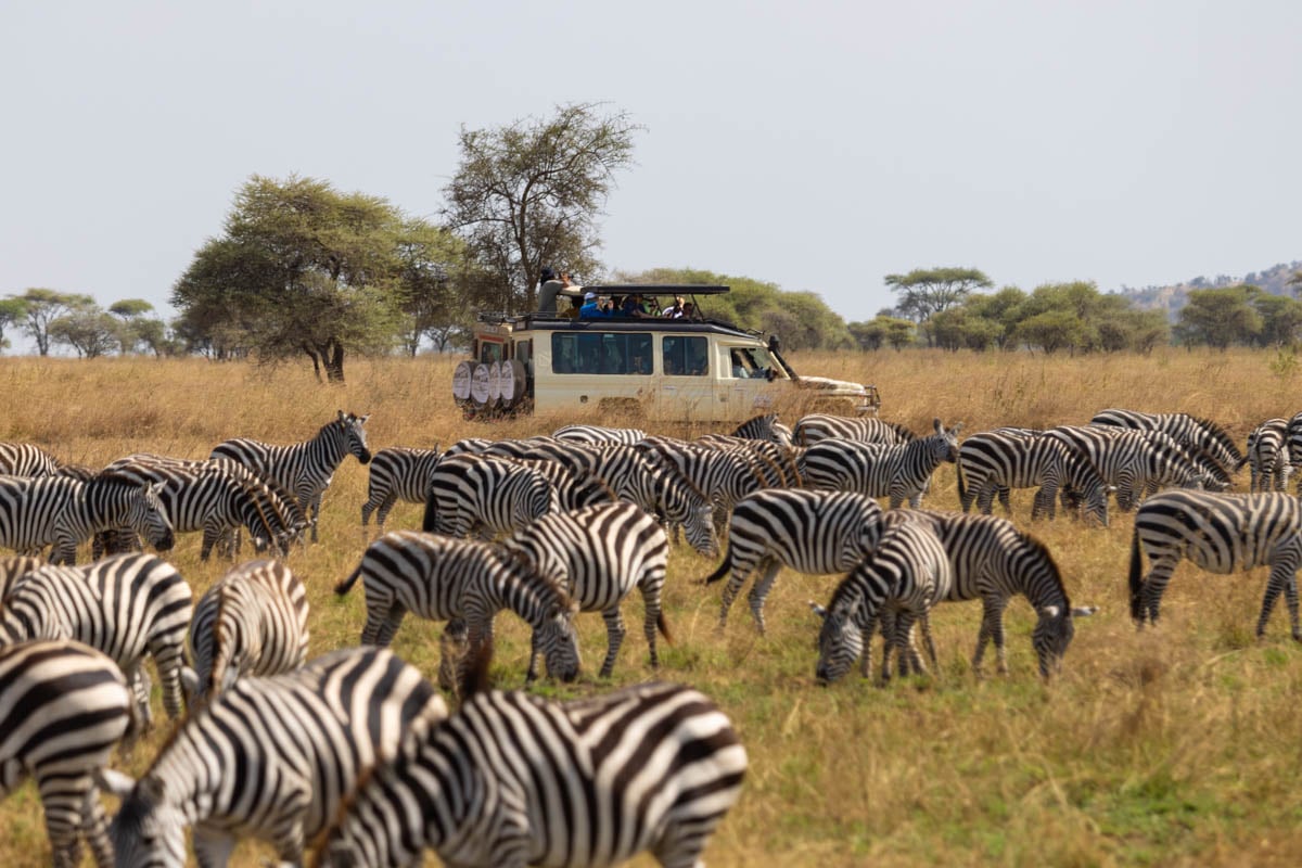 4x4-safari-truck-with-zebras-tanzania-africa