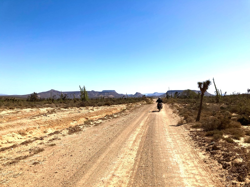 Adventure Rider in Baja Sur California, Mexico in Desert with Desert landscape