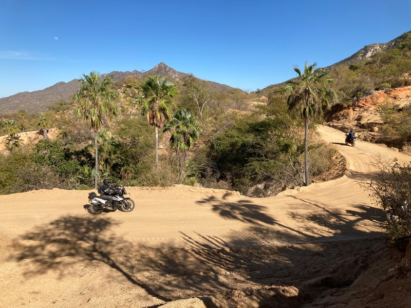 ADV rider after Loreto in Baja on dirt road with palm trees. 