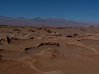 peruvian desert trip