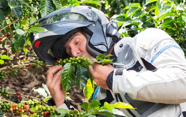 Colombian Coffee Adventure Riding