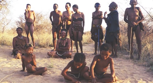 south africa bushmen