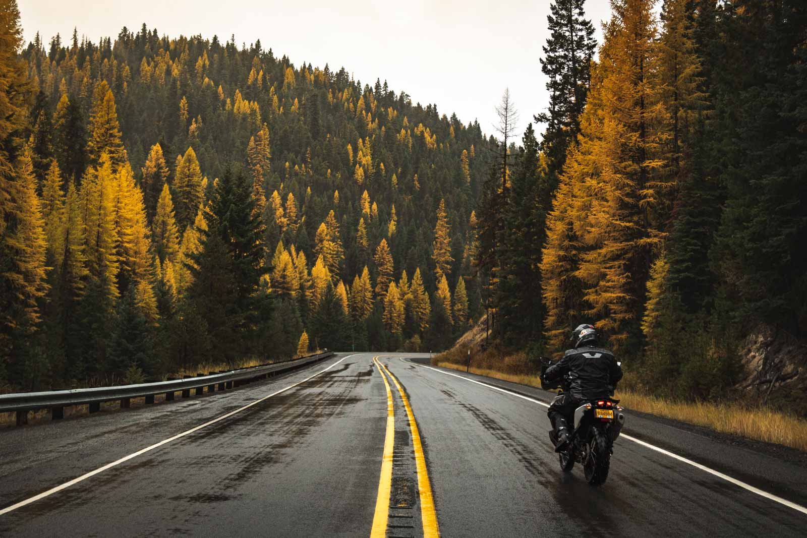 Garrett riding on pavement through the malheur national forest in Oregon