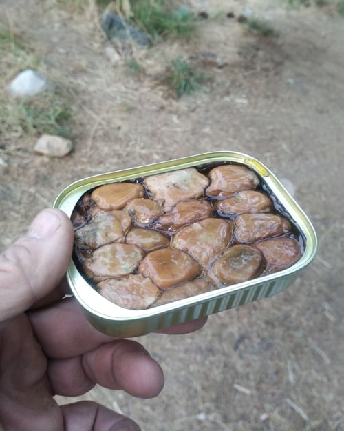 canned fish as a meal option while motorcycle camping on a bdr