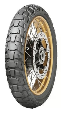 dunlop trailmax raid studio 1