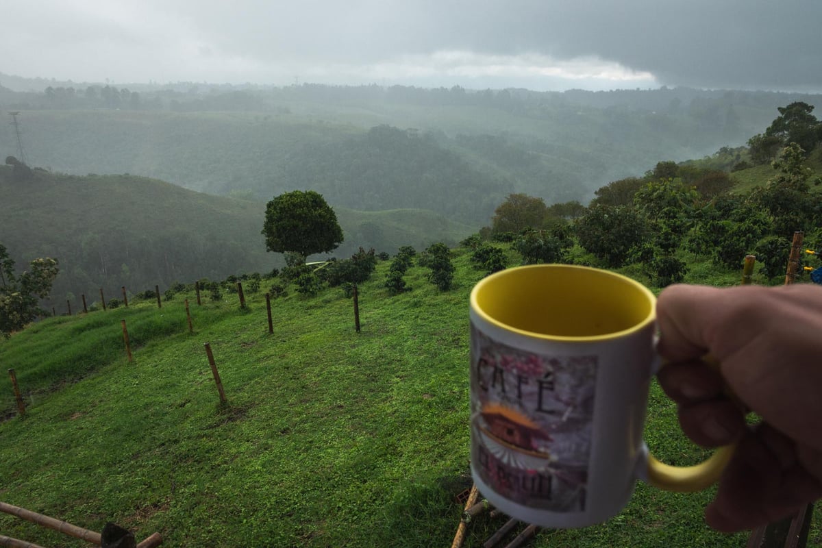 El Berlin Coffee Plantation Colombia