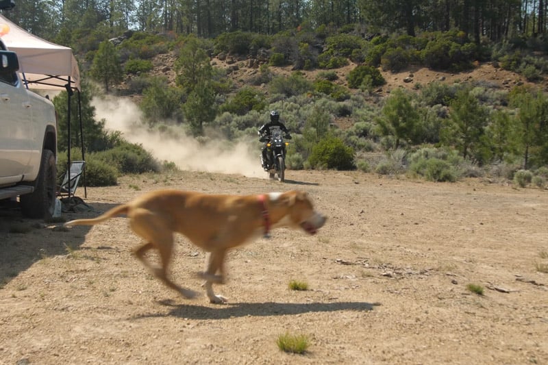 emergency-braking-look-offroad-riding-technique