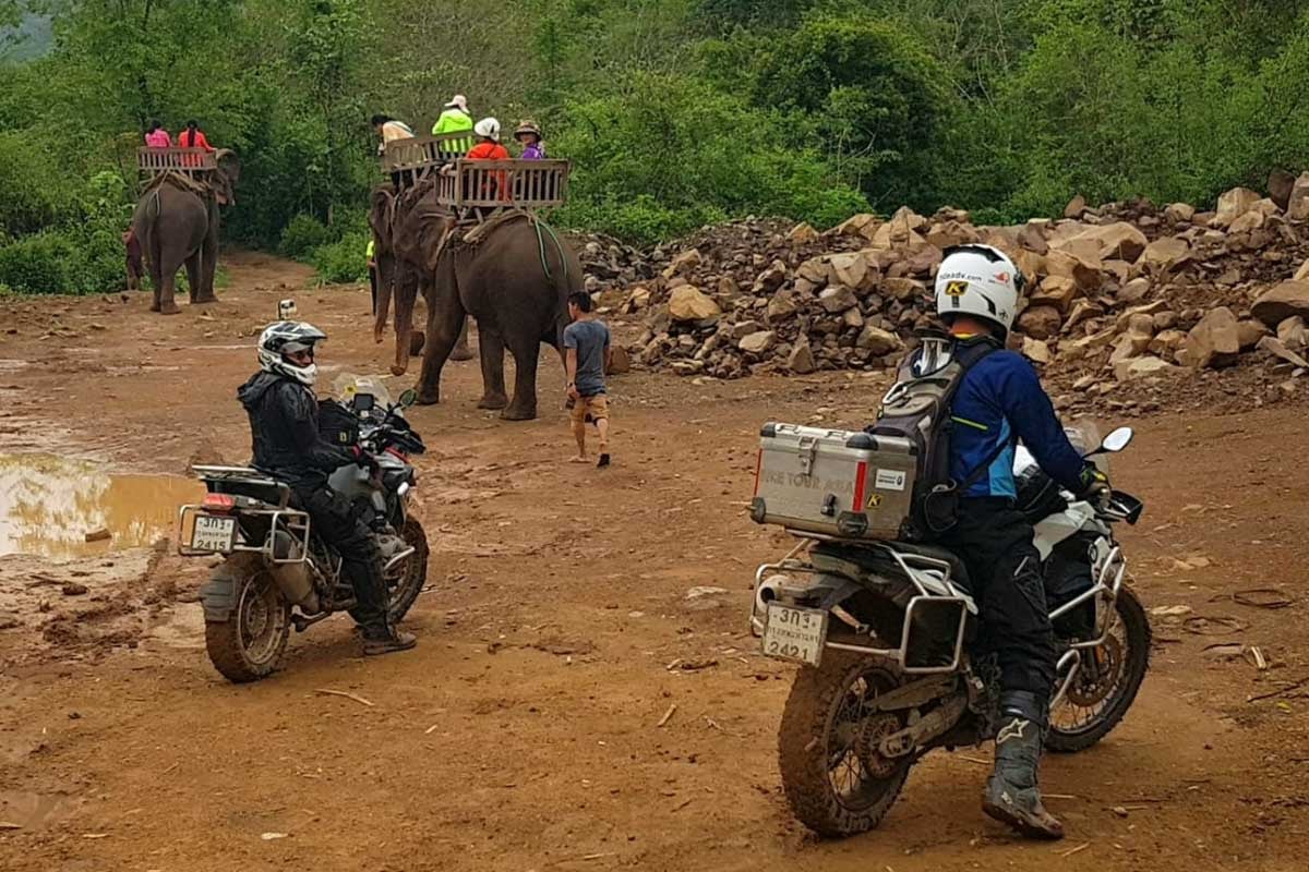 Eric parked on the side of a dirt road watching the elephants cross the road in Thailand.