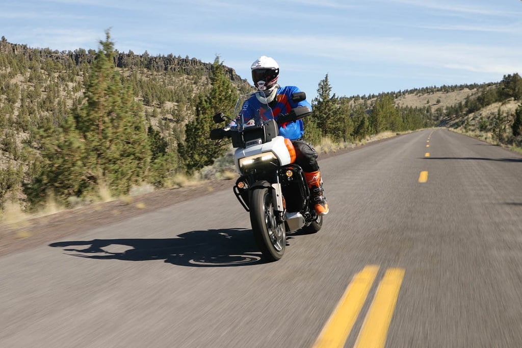 Eric riding the Pan America through a canyon in Eastern Oregon.