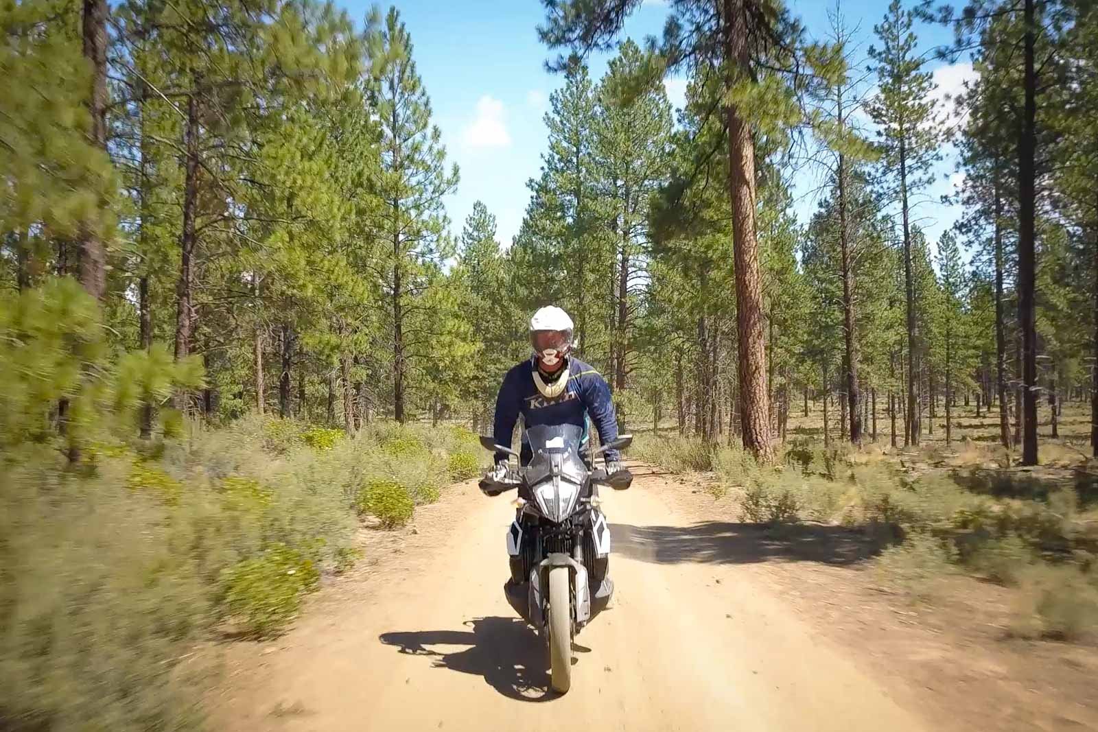 Eric on the KTM 790 Adventure heading toward the camera with a beautiful forest and trail behind him