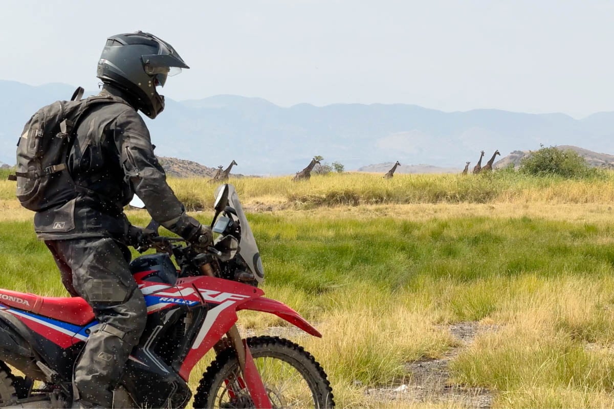 rider-tracks-down-giraffe-while-on-a-motorcycle-safari