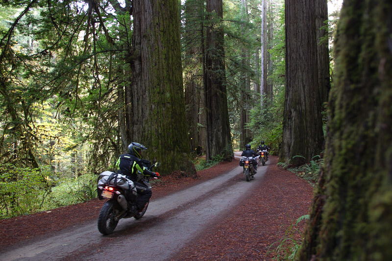 Customers twisting the throttle through the Redwoods with Giant Loops Great Basin adventure motorcycle soft luggage attached.