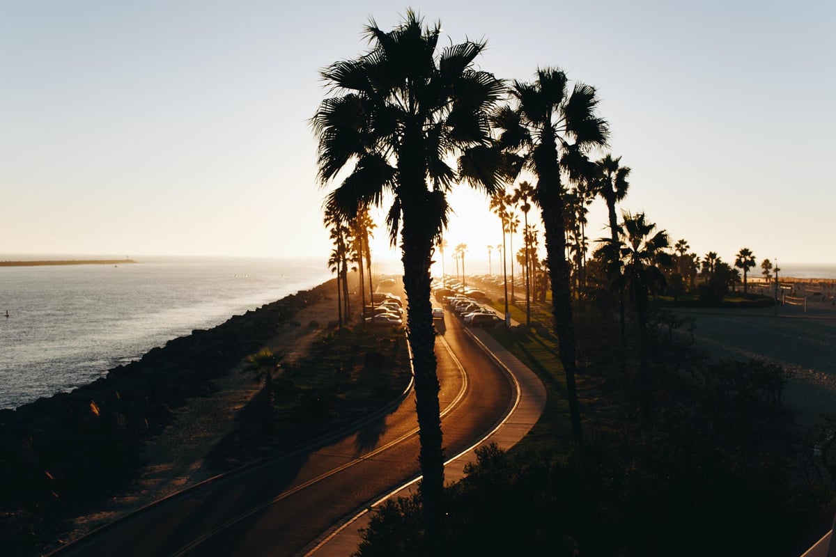Mission beach with palms during sunset