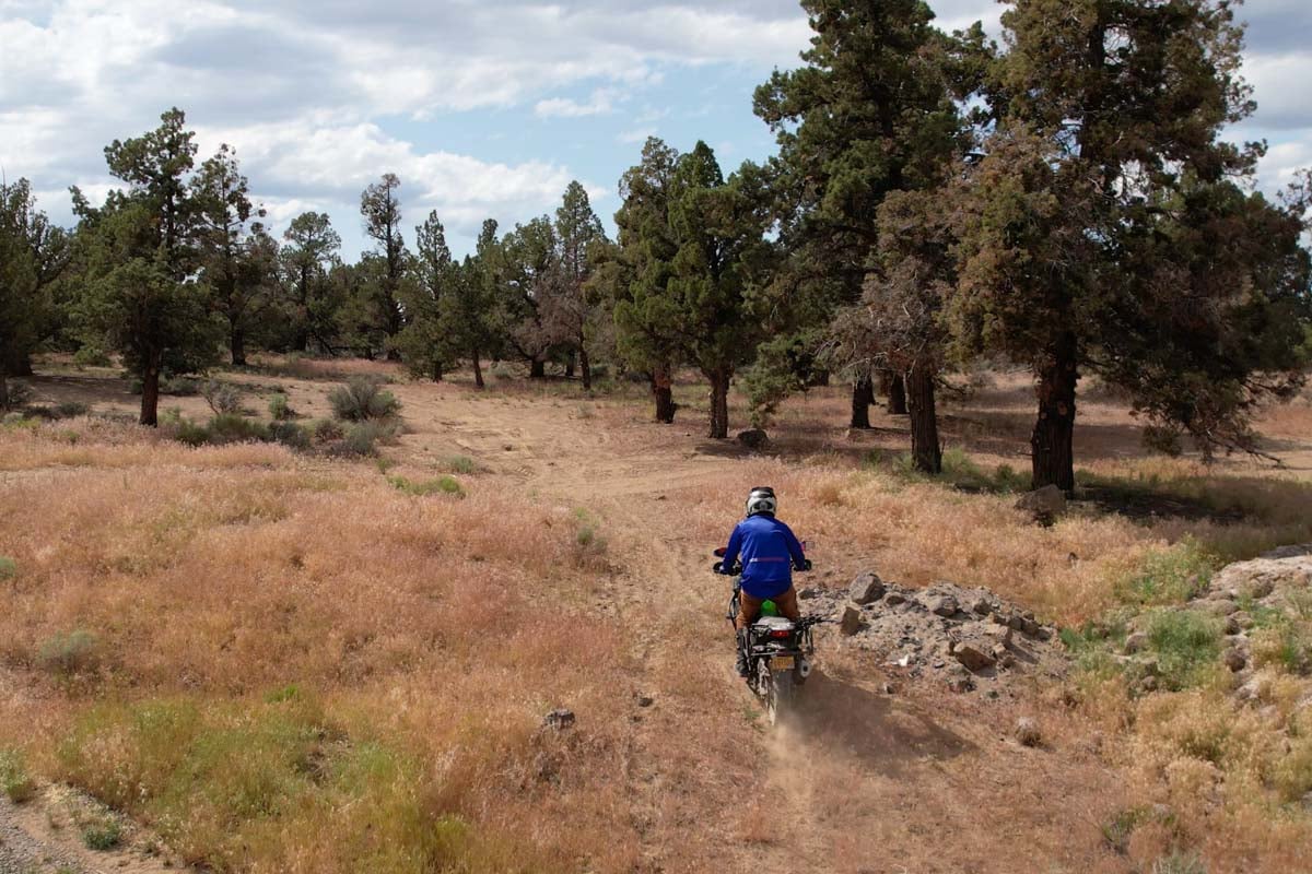 taking the no trail route in oregon backcountry with the versys-x 300