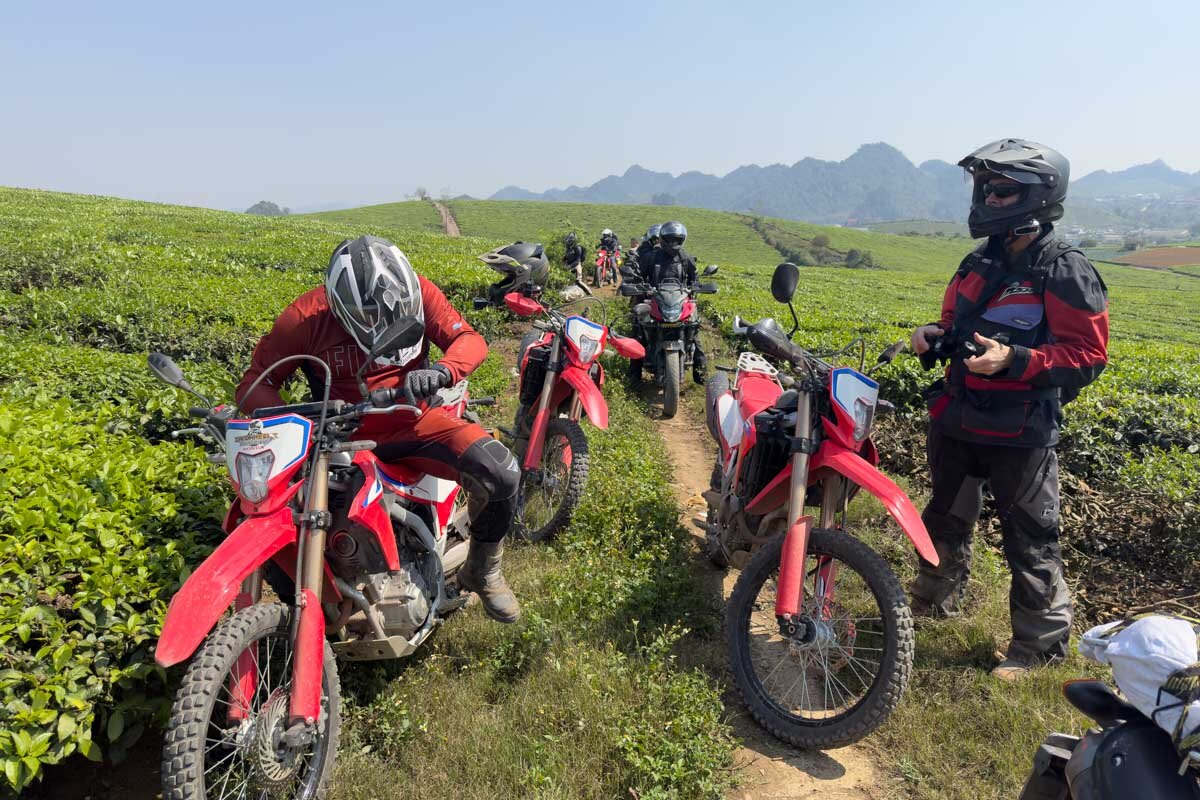 vietnam-stopping-at-a-tea-plantation-crf-300l