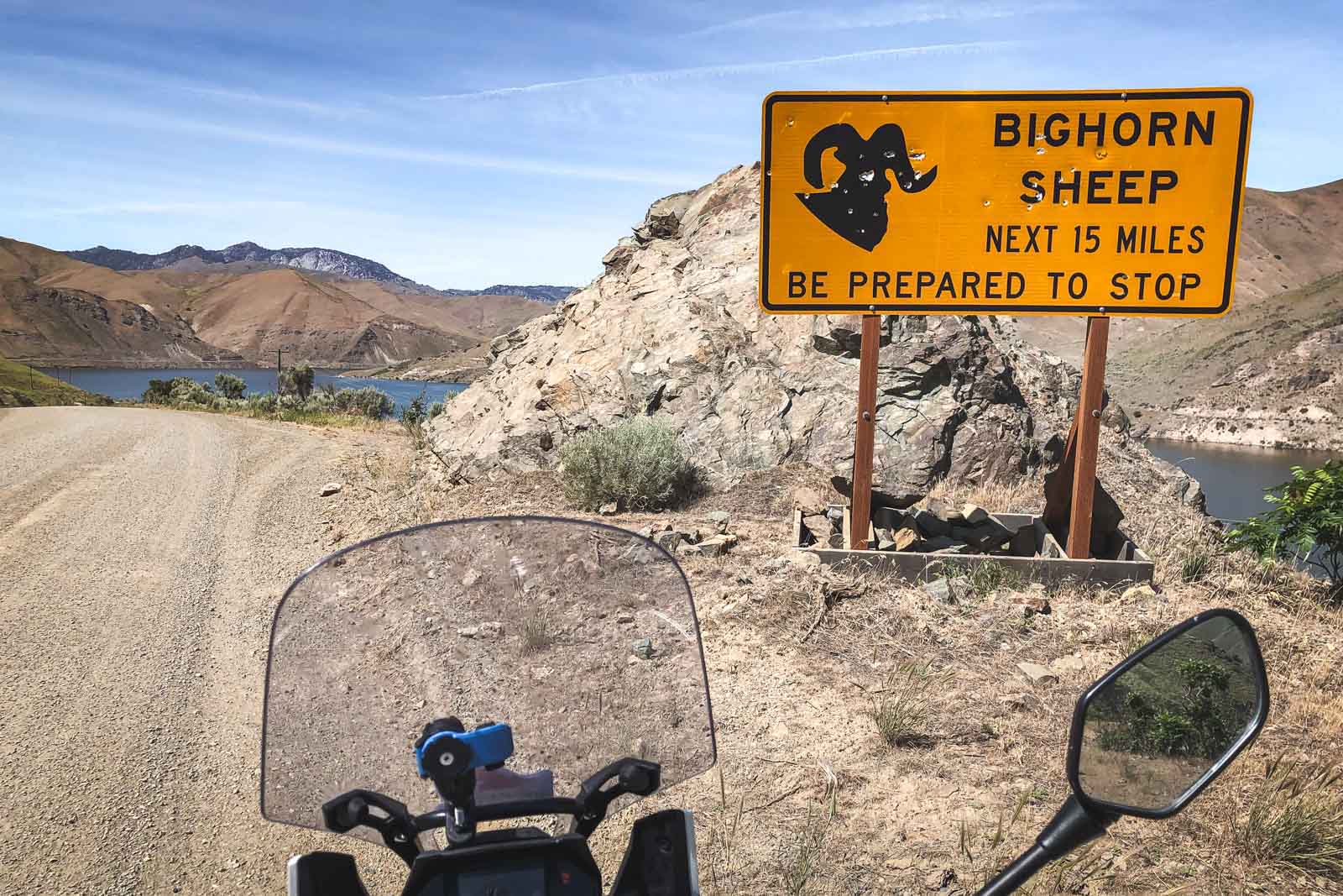 adventure_motorcycle_tour_bighorn_sheep