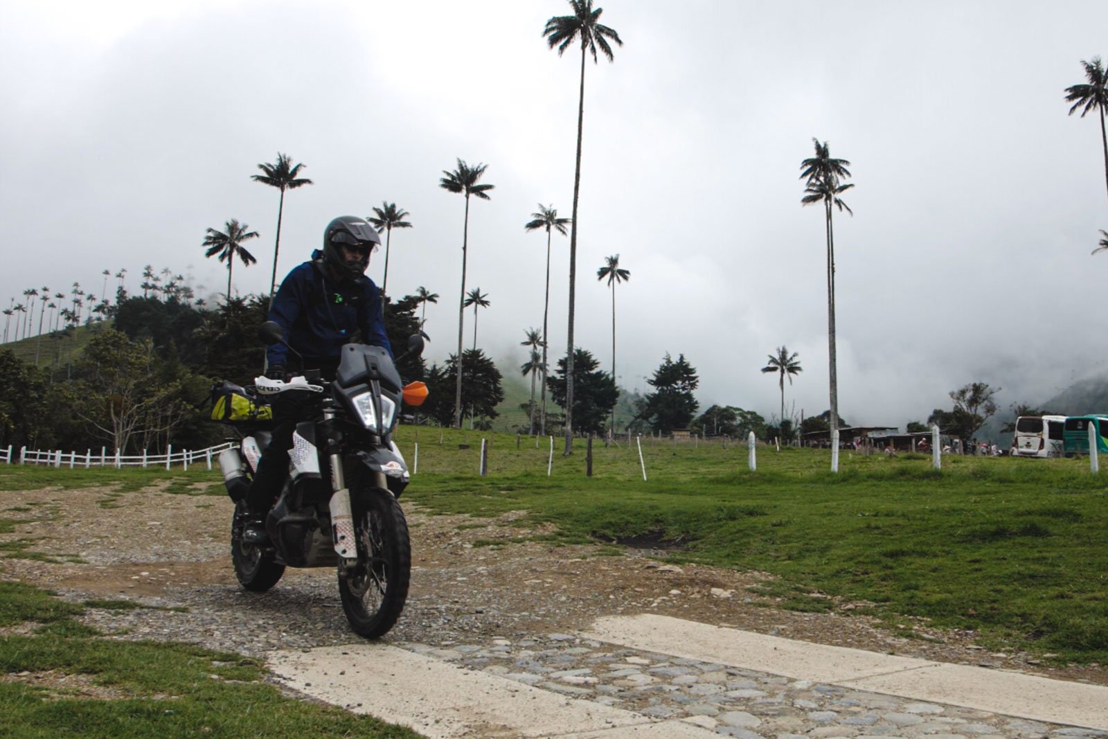 Riding through Cocora Valley